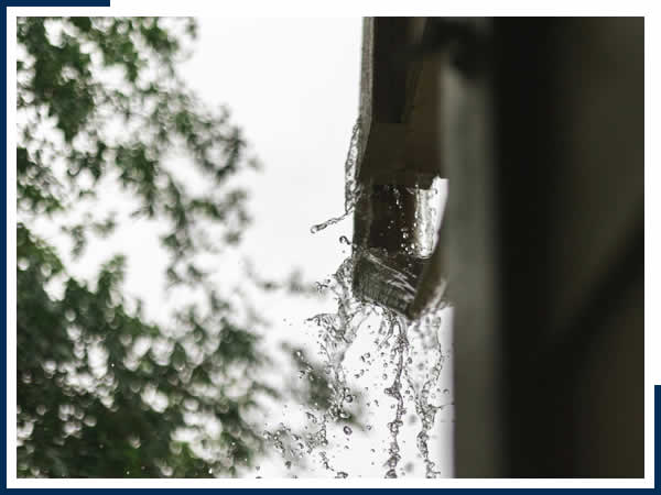 Gutter Cleaning Services