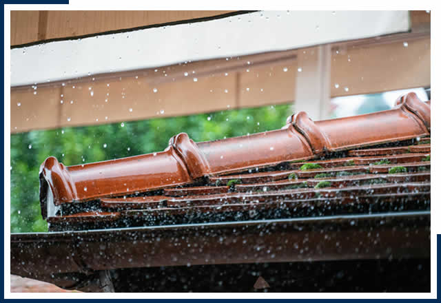 TX Residential Gutter Cleaning