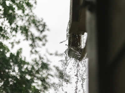 Gutter Cleaning Services